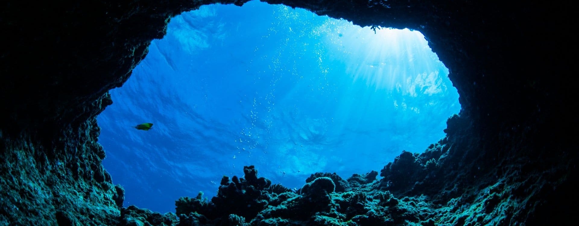 Καταδύσεις - Ανακαλύπτοντας τον υποβρύχιο κόσμο